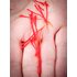 Photo of the red saffron threads.